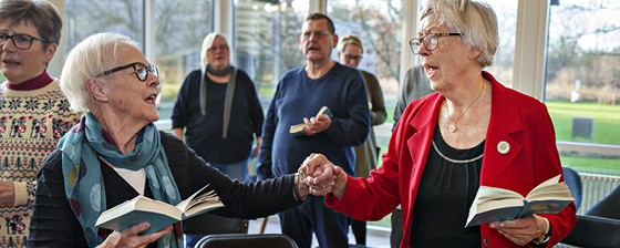 Billede af deltagere til sundhedssang